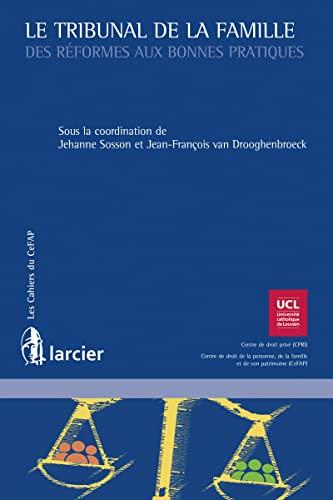 Le tribunal de la famille : des réformes aux bonnes pratiques