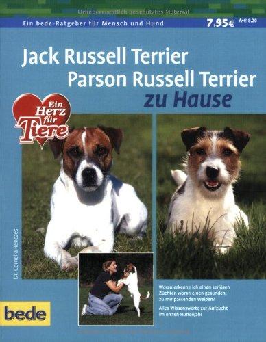 Jack Russell Terrier und Parson Russell Terrier zu Hause