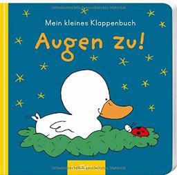 Augen zu!: Mein kleines Klappenbuch