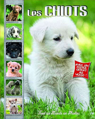 Les chiots