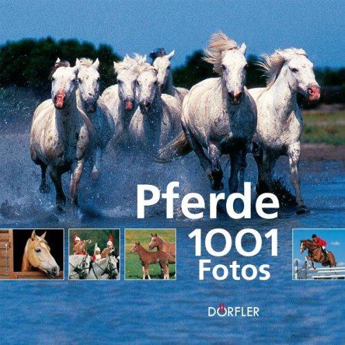 Pferde - 1001 Fotos