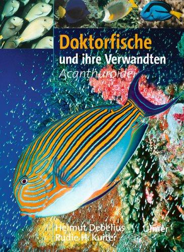 Doktorfische und ihre Verwandten. - Acanthuroidei