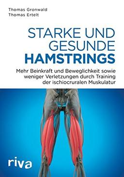 Starke und gesunde Hamstrings: Mehr Kraft, Beweglichkeit und weniger Verletzungen durch Training der ischiocruralen Muskulatur