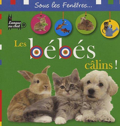 Les bébés câlins !