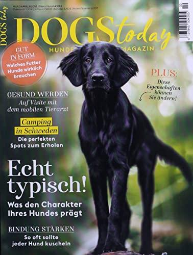 Dogstoday 2/2022 "Echt Typisch!"