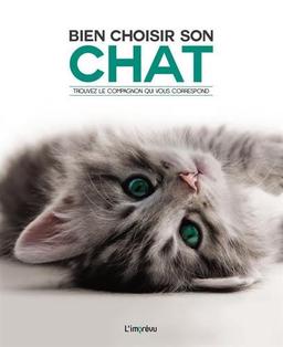 Bien choisir son chat : trouvez le compagnon qui vous correspond