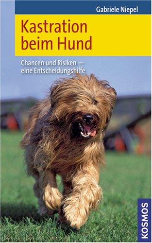 Kastration beim Hund: Chancen und Risiken - eine Entscheidungshilfe