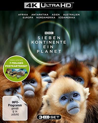 Sieben Kontinente - Ein Planet (4K UHD). Limited Edition mit Postkarten-Set - (exklusiv bei Amazon.de mit 7-teiligem Postkarten-Set) [Blu-ray]