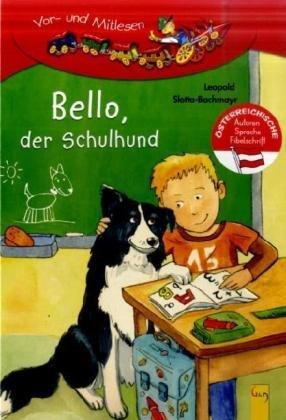 Bello, der Schulhund