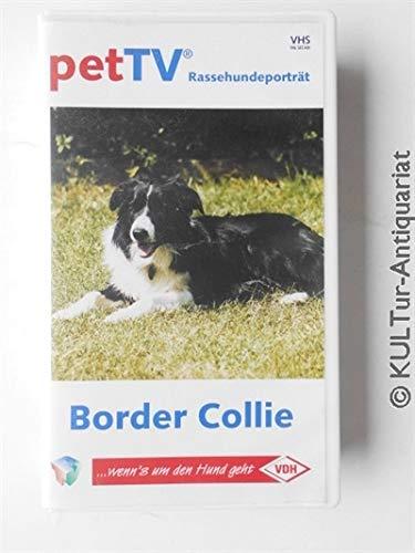 Border Collie - Rassehundeporträt [VHS]