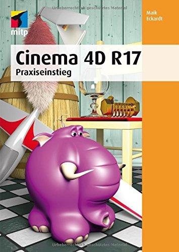 Cinema 4D R 17: Praxiseinstieg (mitp Professional)