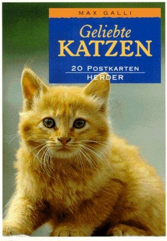 Geliebte Katzen