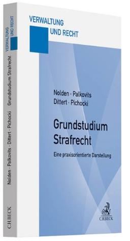 Grundstudium Strafrecht: Eine praxisorientierte Darstellung