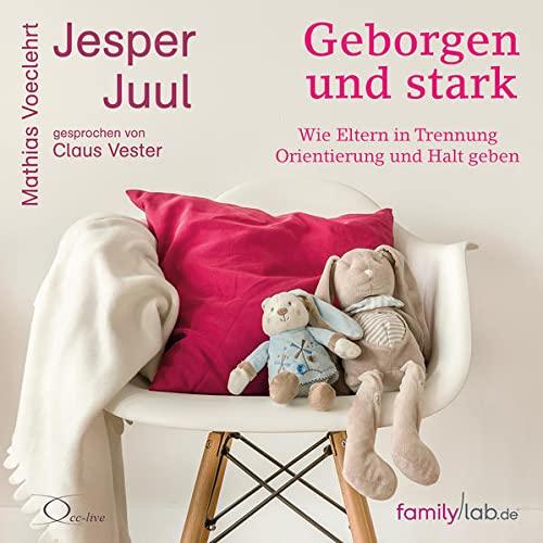 Geborgen und stark: Wie Eltern in Trennung Orientierung und Halt geben (edition familylab)