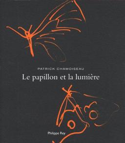 Le papillon et la lumière