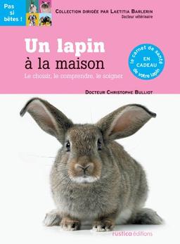 Un lapin à la maison : le choisir, le comprendre, le soigner