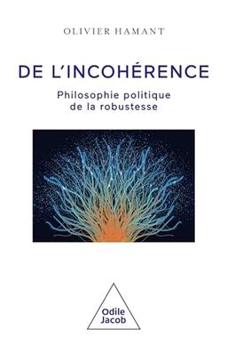 De l'incohérence : philosophie politique de la robustesse