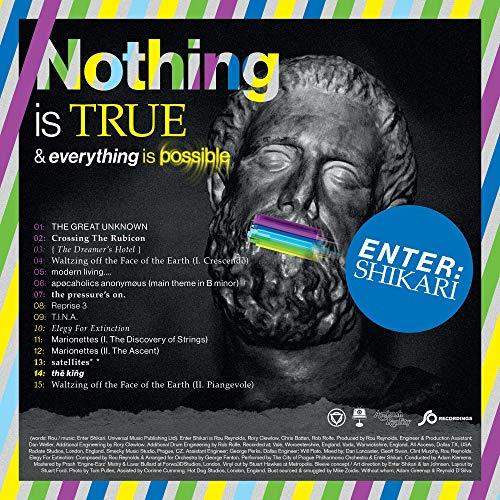 Nothing Is True & Everything Is Possible [Vinyl LP]