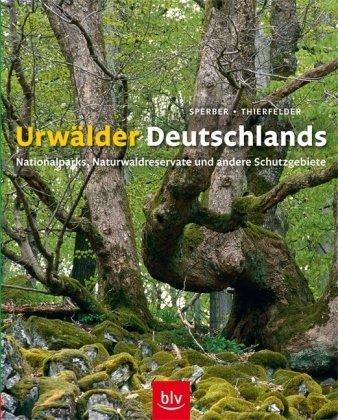 Urwälder Deutschlands: Nationalparks, Naturwaldreservate und andere Schutzgebiete