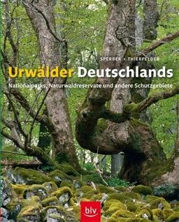 Urwälder Deutschlands: Nationalparks, Naturwaldreservate und andere Schutzgebiete