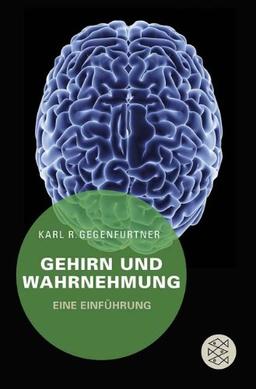 Gehirn und Wahrnehmung: Eine Einführung