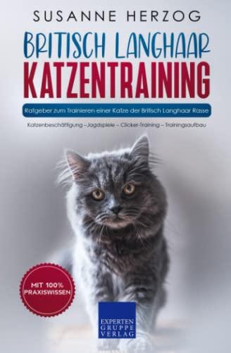 Britisch Langhaar Katzentraining - Ratgeber zum Trainieren einer Katze der Britisch Langhaar Rasse: Katzenbeschäftigung – Jagdspiele – Clicker-Training – Trainingsaufbau