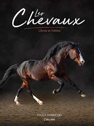 Les chevaux : libres et fidèles