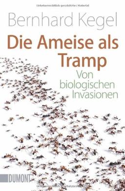 Die Ameise als Tramp: Von biologischen Invasionen