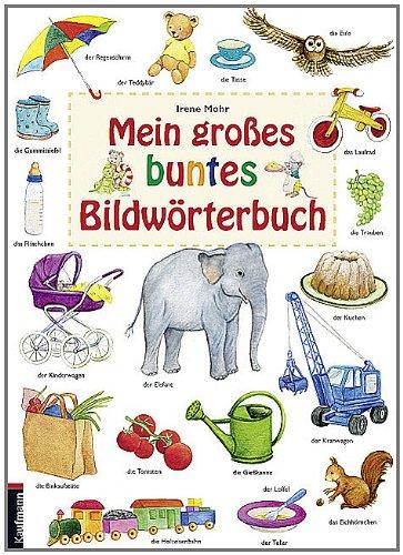 Mein großes buntes Bildwörterbuch