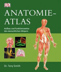 Anatomie-Atlas: Aufbau und Funktionsweise des menschlichen Körpers