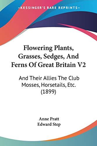 Flowering Plants, Grasses, Sedges, And Ferns Of Great Britain V2: And Their Allies The Club Mosses, Horsetails, Etc. (1899)