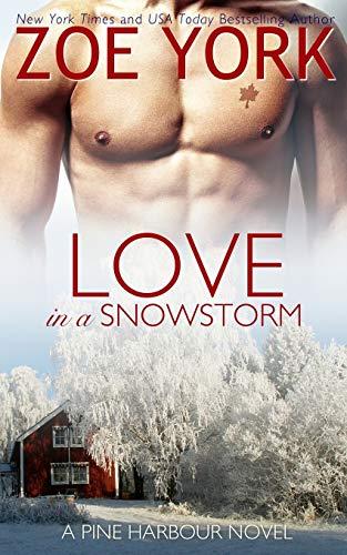 Love in a Snowstorm (Pine Harbour, Band 2)