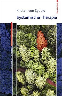 Systemische Therapie (Wege der Psychotherapie)