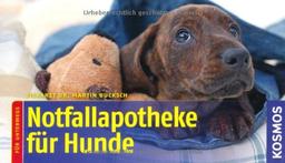 Notfallapotheke für Hunde: Für unterwegs