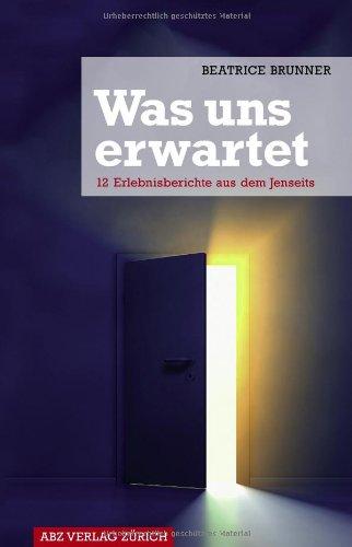 Was uns erwartet: 12 Erlebnisberichte aus dem Jenseits