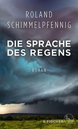 Die Sprache des Regens: Roman