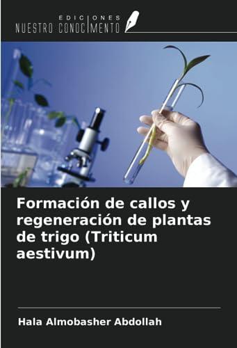 Formación de callos y regeneración de plantas de trigo (Triticum aestivum)