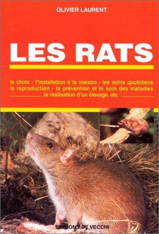 Les rats (Animaux)