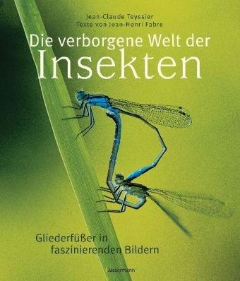 Die verborgene Welt der Insekten: Gliederfüßer in faszinierenden Bildern