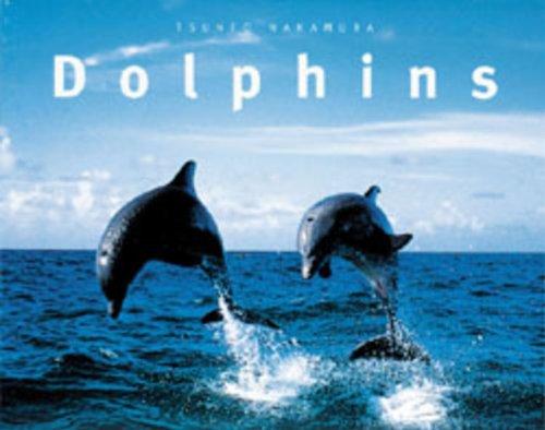 Dolphins