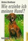 Wie erziehe ich meinen Hund?