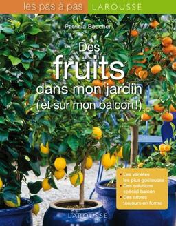 Des fruits dans mon jardin (et sur mon balcon !)