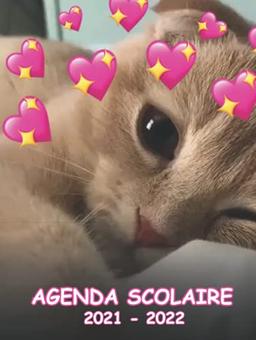 agenda scolaire 2021 2022 chat : agenda fille primaire 2021 2022 | agenda 2021 2022 fille college | agenda fille