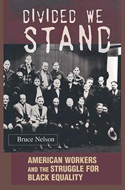 Divided We Stand: American Workers and the Struggle for Black Equality (Politics and Society in Modern America)