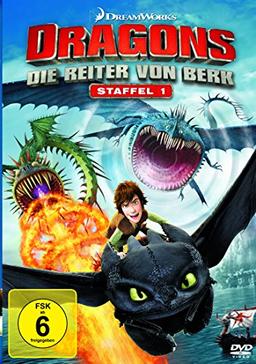 Dragons-Die Reiter von Berk - Staffel 1 [4 DVDs]