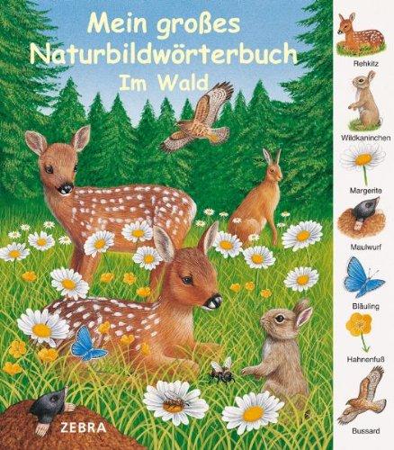 Mein großes Naturbildwörterbuch: Im Wald