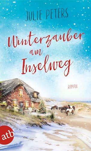 Winterzauber am Inselweg: Roman (Friekes Buchladen, Band 5)