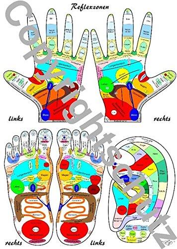 Reflexzonen Übersichtskarte Füße, Hände und Ohr DIN A5 (Lehrtafeln)