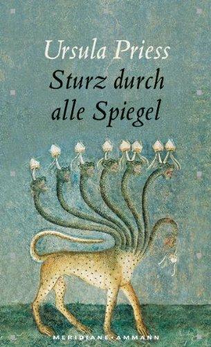 Sturz durch alle Spiegel. Eine Bestandsaufnahme