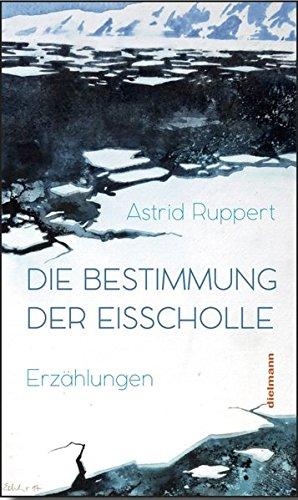 Die Bestimmung der Eisscholle: Acht Erzählung vom Nordpol